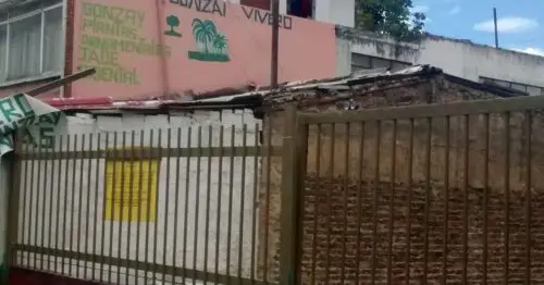 BONZAI VIVERO BONZAI VIVERO